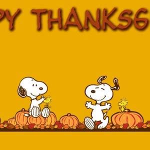 Meet your Posher, Jake